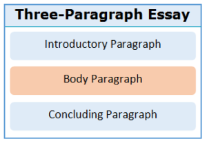 where is the summary of an essay located