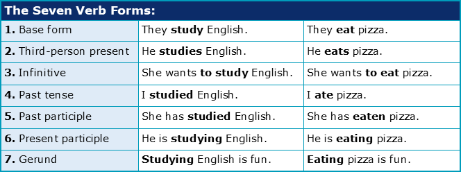 What are the seven rules for forming verbs?