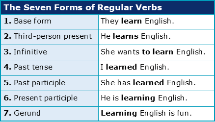 what are the thirteen types of english verb academic marker