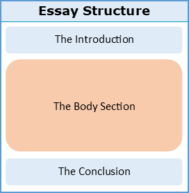 parts of the body in essay