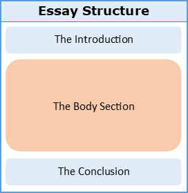 function of body in an essay