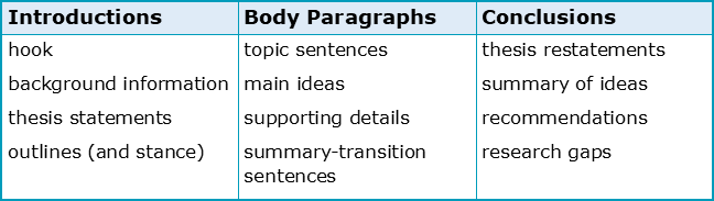 body section essay