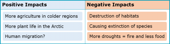 Evaluative Essays 2.2 Positives and Negatives