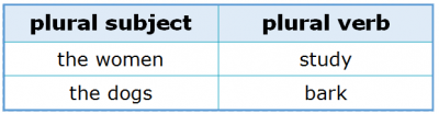 Subject-Verb Agreement 2.7 Plural Subject and Plural Verb