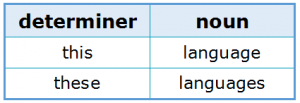 Subject-Verb Agreement 1.1 Determiner and Noun