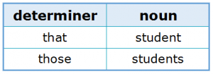 Subject-Verb Agreement 1.2 Determiner and Noun