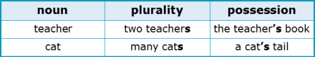 Suffixes 2.4 Plurals and Possessives
