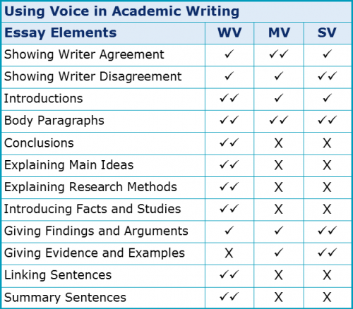 video essay voice